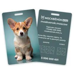 Карта Москвёнок DOGS №6 (проход + питание)