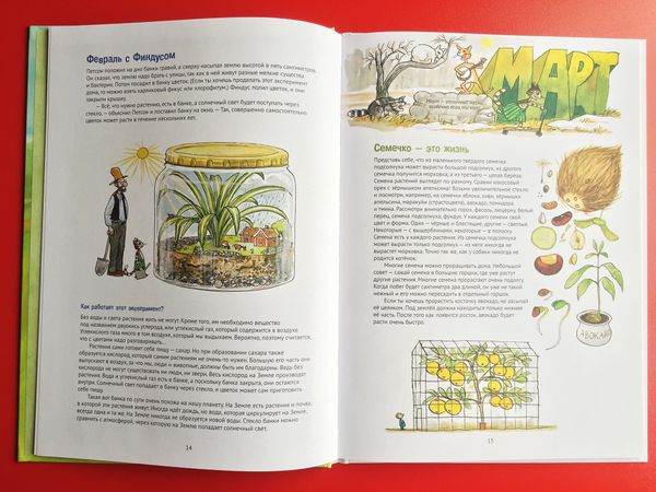 Поделки Финдуса