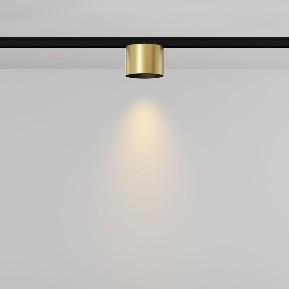 Трековый магнитный светодиодный светильник Maytoni Levity   TR188-1-5W2.7K-M-BBS