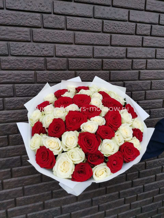 51 белая и красная роза