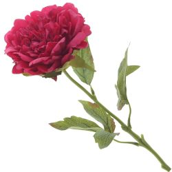 GAEM Цветок искусственный "Пион" (Real Touch), L12 W12 H56 см