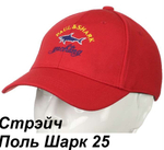 Бейсболка Paul&Shark стрейч