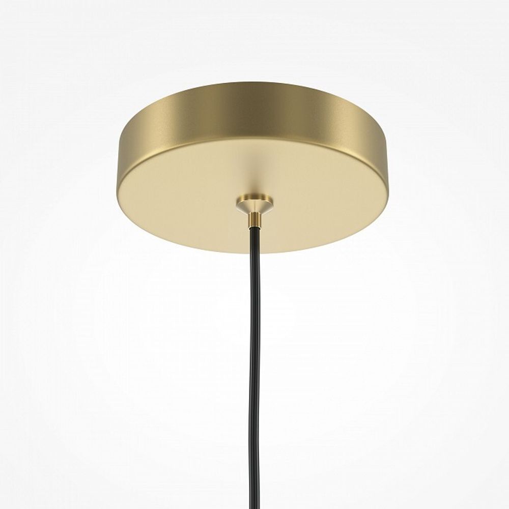 Подвесной светильник Maytoni Pro Focus MOD161PL-01G1