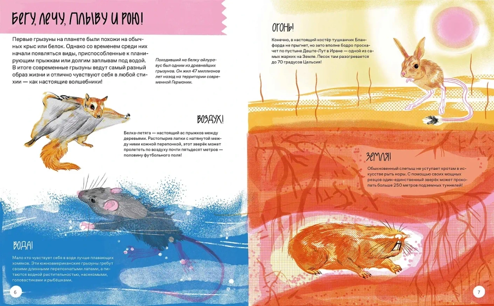 Вот так капибара!