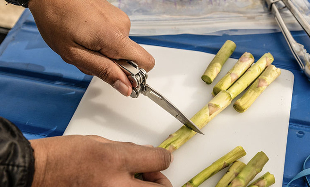 Мультитул LEATHERMAN Curl 832932 (нейлоновый чехол)