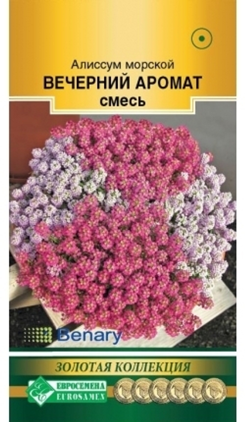 Алиссум морской Вечерний аромат