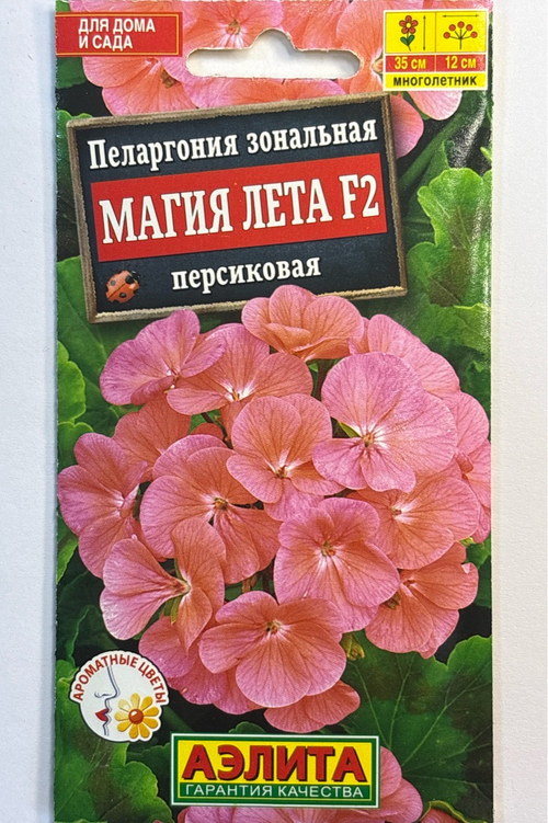 Пеларгония Магия лета F2 персиковая СМЦ-734