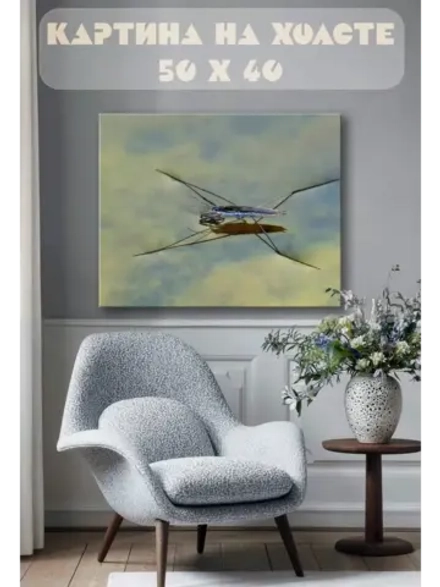 Картина на стену 40 X 50 Водянка