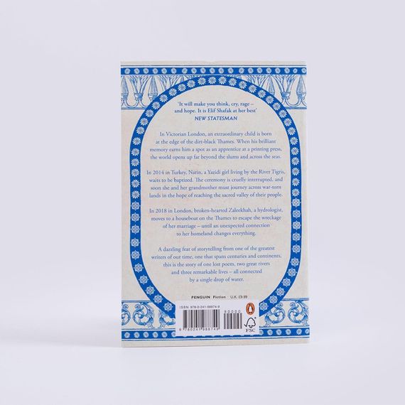 There are Rivers in the Sky