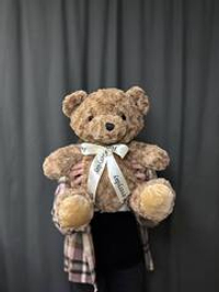 Медведь кофейного цвета