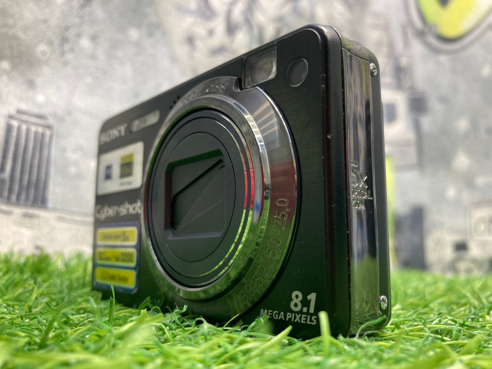 Sony W150