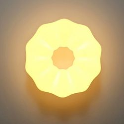 Накладной светильник Zortes Soft ZRS.1118.2