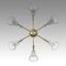 Потолочная люстра Lumion Classi Aurica 8046/6C