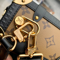 Louis Vuitton Side Trunk MM