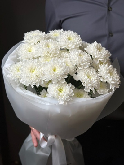 Кустовая хризантема «Алтай» (белая)