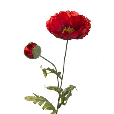 Мак [Арт. 100952]