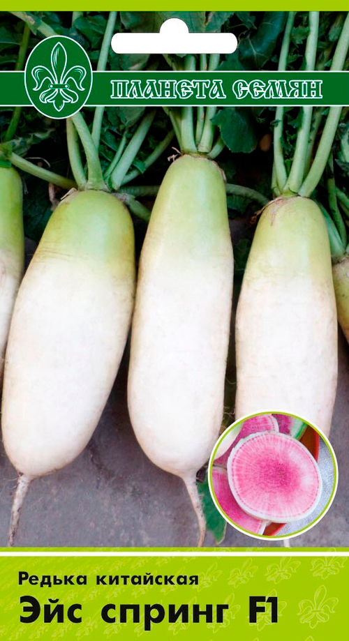 Редька китайская Эйс Спринг F1