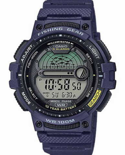 Часы Casio Collection WS-1200H-2A