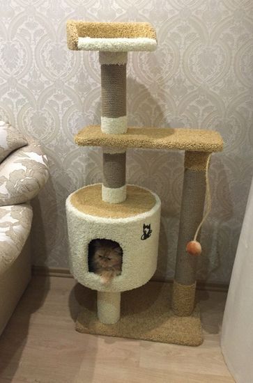 Комплекс для кошек Д-2