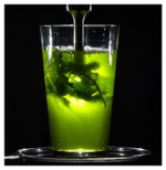 Гомогенизатор ультразвуковой PolyScience UH30AC2E