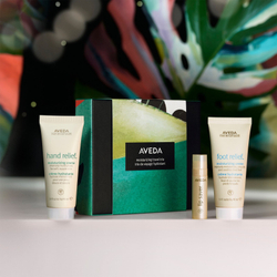 Aveda Moisturizing Travel Trio - подарочный набор /   / GTIN 018084043301