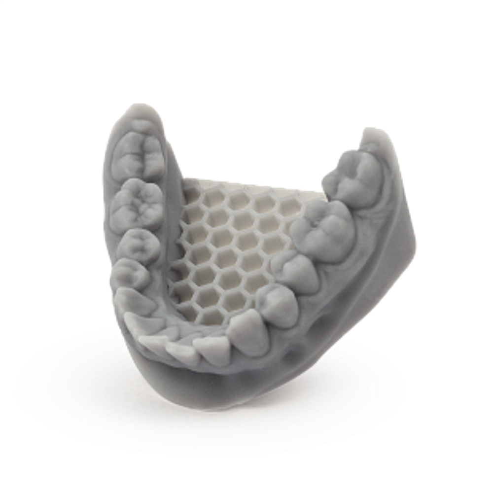 Dental Model Light Grey