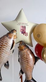 Воздушные шары для него №9050