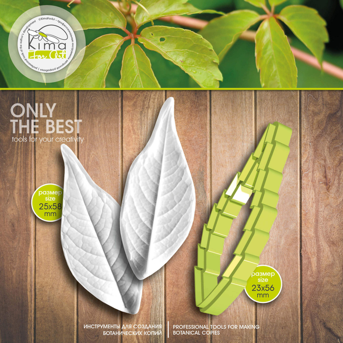 Девичий виноград лист маленький