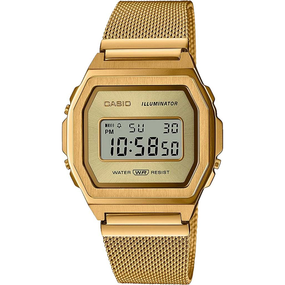 Casio A1000MG-9