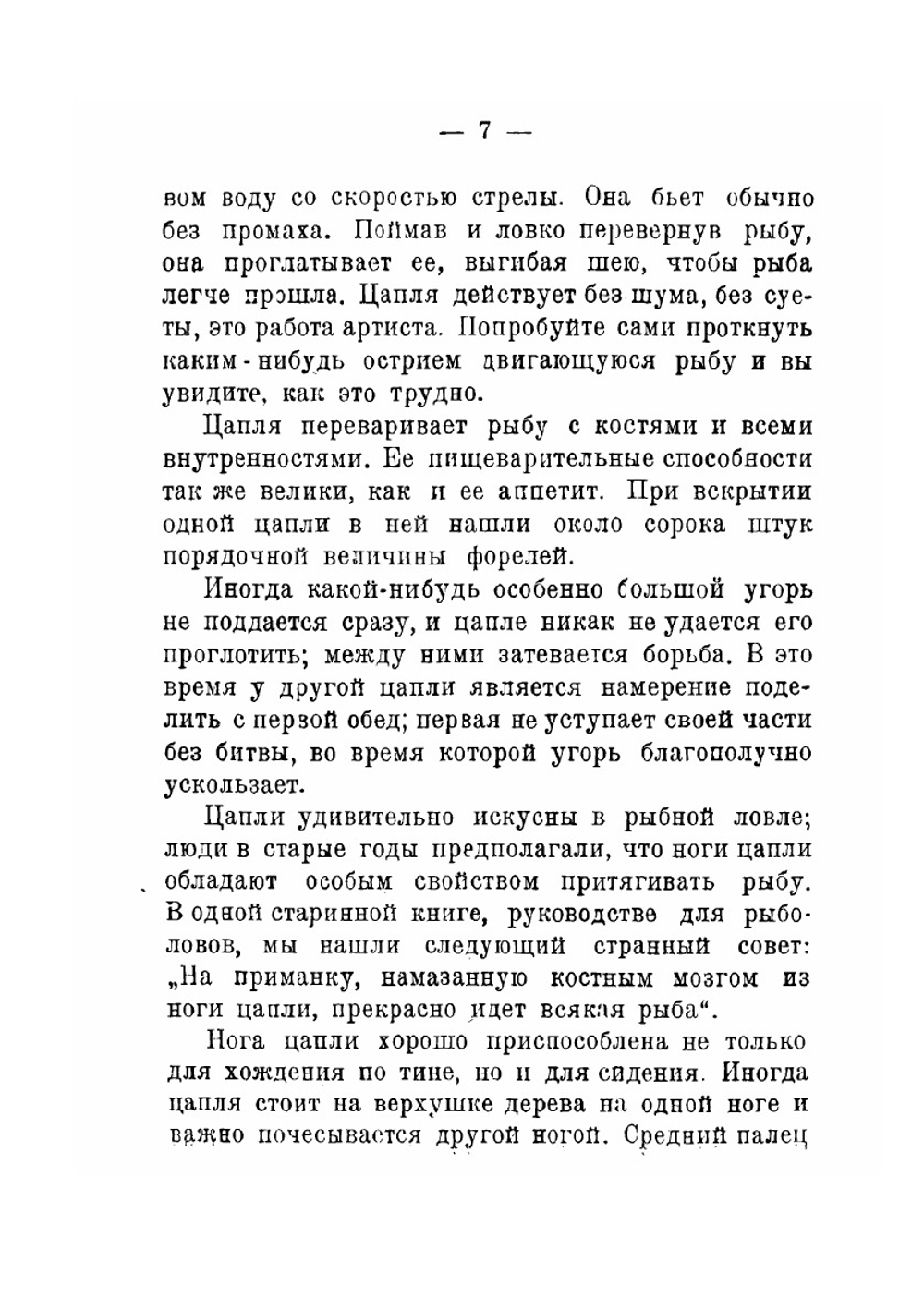 Жизнь птиц | Н. Каринцев