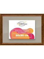 Рамка для постера и фотографий 50x95
