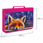 Папка на молнии BRAUBERG А4 с ручкой с органайзером 1 отделение "Cute fox" (2 штуки в упаковке)