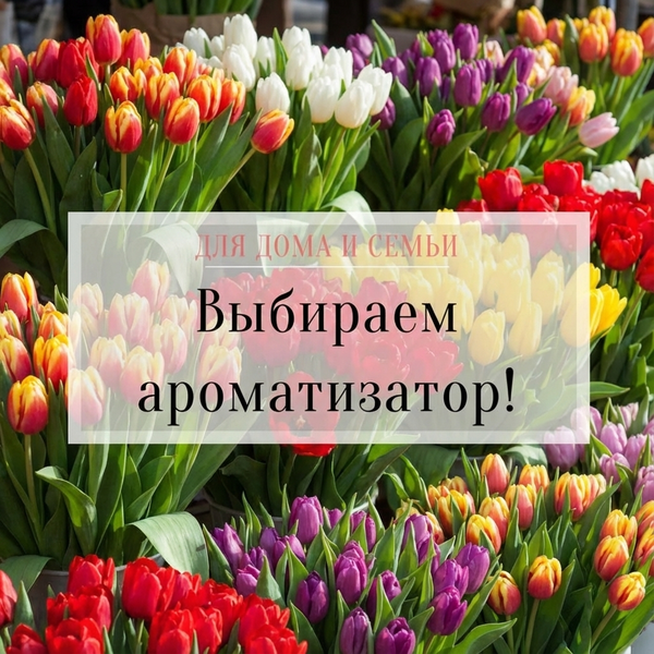 Выбираем ароматизатор