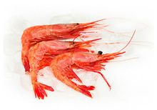 Креветка Углохвостая, 1кг Креветка Углохвостая, 1кг