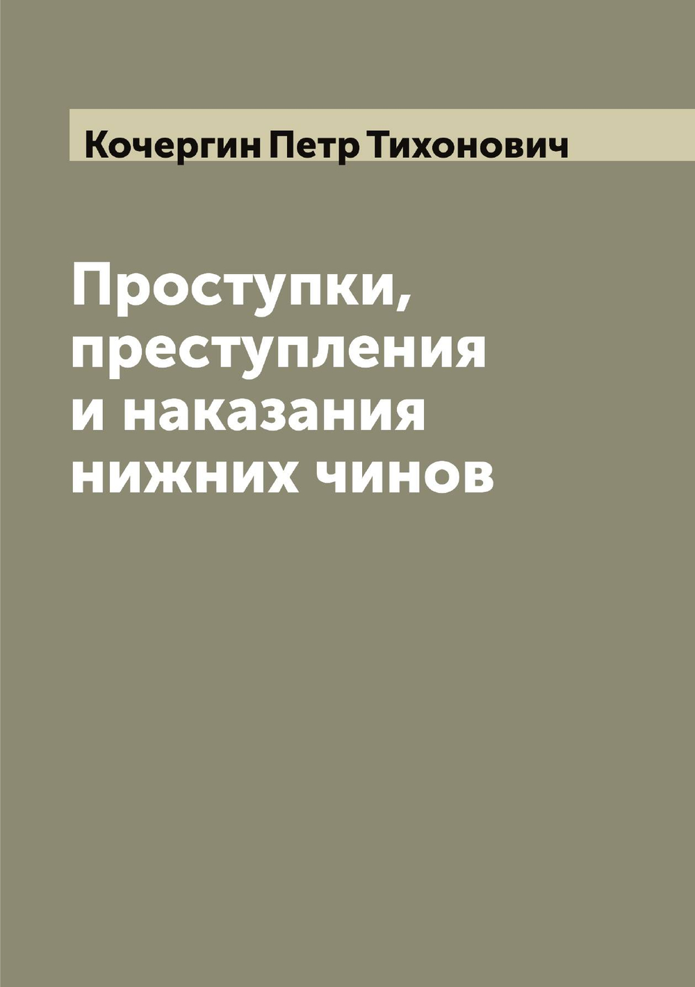 Проступки, преступления и наказания нижних чинов | Кочергин Петр Тихонович