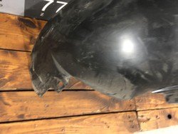 Подкрылок задний правый Chery Tiggo 4 18-22 Б/У Оригинал 602000267AA