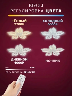 Люстра потолочная светодиодная с пультом ДУ Rivoli белая 110 Вт, 3000К - 6000К, светильник на кухню, в детскую, в спальню