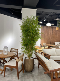 Бамбук ветка 120 см