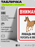 Табличка "Лошадь может укусить и лягнуть" на дверь и забор, для конюшни, фермы, деревни, 40х30 см, Silver Plane x Айдентика Технолоджи