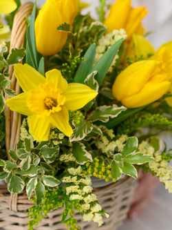 Перед рассветом