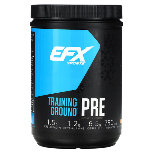 EFX Sports, Training Ground, PRE, со вкусом апельсина и манго, 500 г (1 фунт, 1,64 унции)