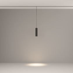 Трековый подвесной светильник Technical TR041-2-12W4K-B