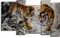 Модульная картина "Тигры"