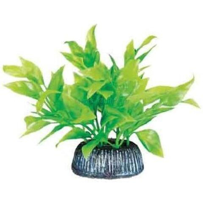Растение "Альтернантера", зеленое, 80мм, Laguna AQUA