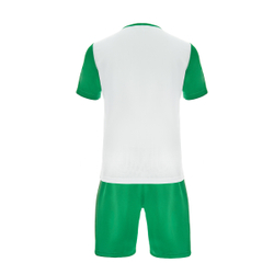 Форма футб. игровая TORRES Sport, F-1022-018-M, р.M, полиэстер, бело-зеленый