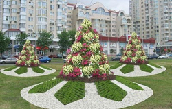 Цветочница Елочка большая