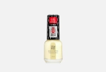BRIGITTE BOTTIER Лак для ногтей GEL FORMULA тон 01 прозрачный, 085