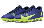 Кроссовки Nike Mercurial Vapor 14 14 Hg