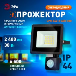 Прожектор светодиодный уличный ЭРА LPR-042-2-65K-030 30Вт 6500K IP44 рег ИК д/д гарантия 2 года | Прожекторы Стандарт