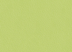 Искусственная кожа Best / Бест